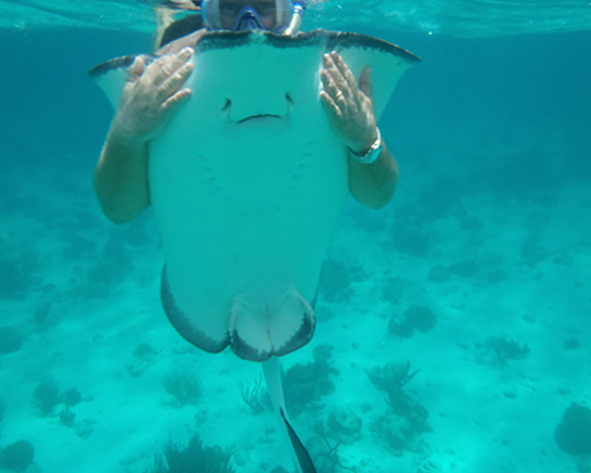 Snorkeling & Stingray City